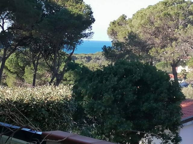 Appartamento in vendita a Quercianella, Livorno