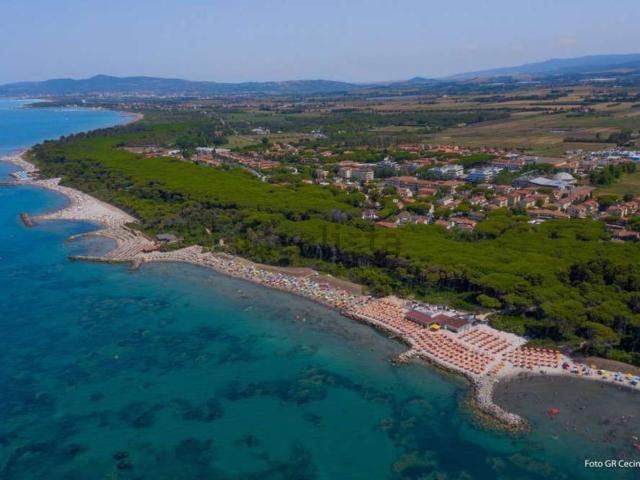 Appartamento in vendita a Cecina, Toscana