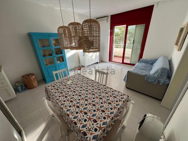 Appartamento in vendita a Bibbona, Toscana