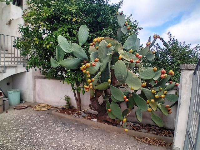 Appartamento in vendita a Puglia, Lecce