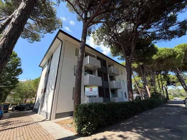 Appartamento in vendita a Bibione Pineda, San Michele al Tagliamento
