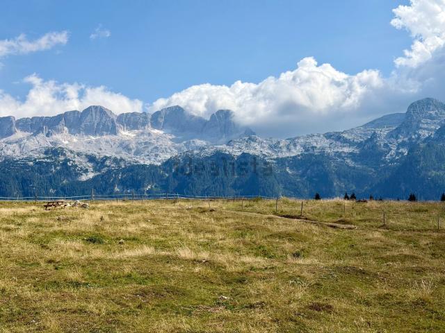 Appartamento in vendita a Sella Nevea / Nevee, Chiusaforte / Scluse