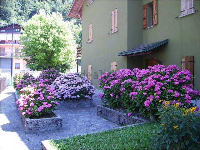 Appartamento in vendita a Comunità Montana della Valle Brembana, Bracca