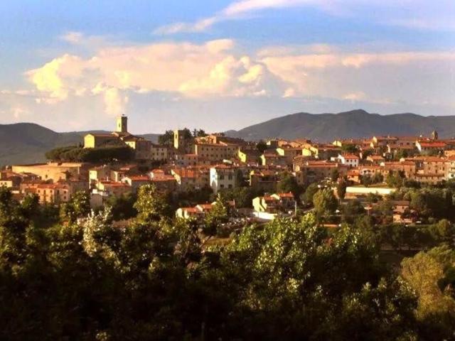 Appartamento in vendita a Montescudaio, Toscana