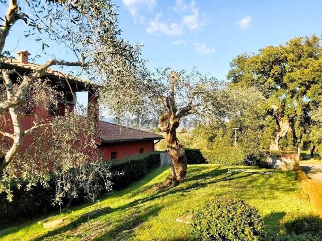 Appartamento in vendita a Scarlino, Toscana