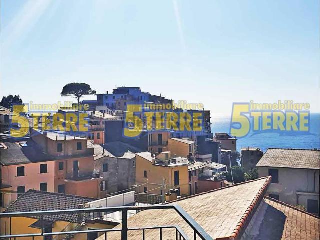 Attico in vendita a Località Lardarina, Vernazza