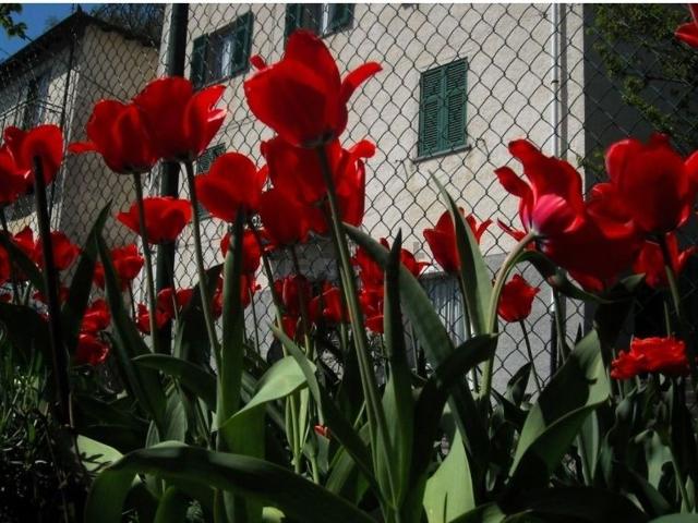 Appartamento in vendita a Isola Del Cantone, Liguria