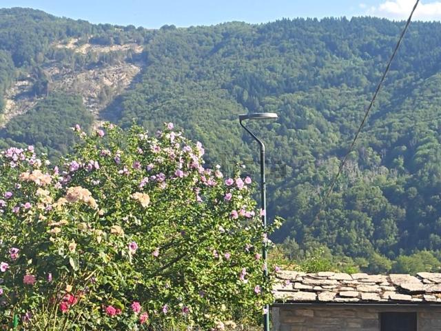 Appartamento in vendita a Casaglia, Borgo San Lorenzo