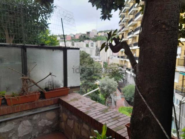 Appartamento in vendita a Centro Est, Serra Riccò