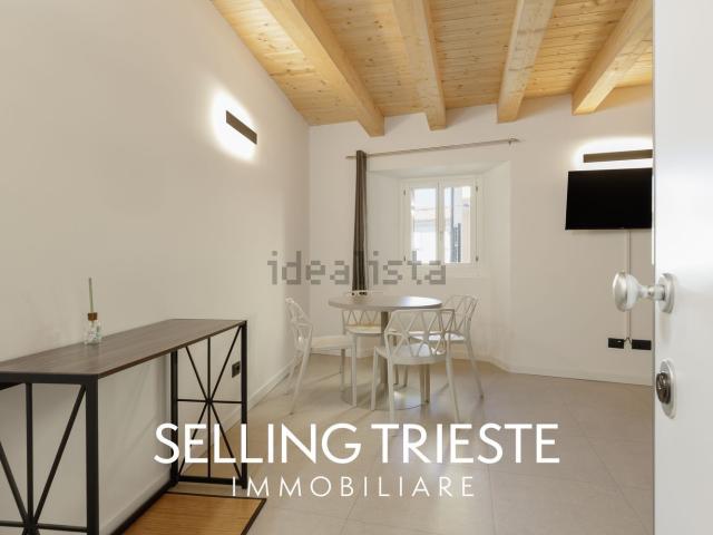 Appartamento in vendita a Città Nuova-Barriera Nuova-San Vito-Città Vecchia, Villa Opicina