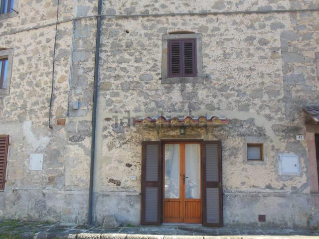 Appartamento in vendita a Unione dei Comuni Montani Amiata Grossetana, Santa Fiora