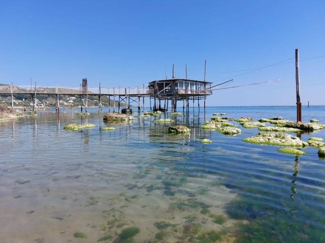 Appartamento in vendita a Fossacesia, Abruzzo