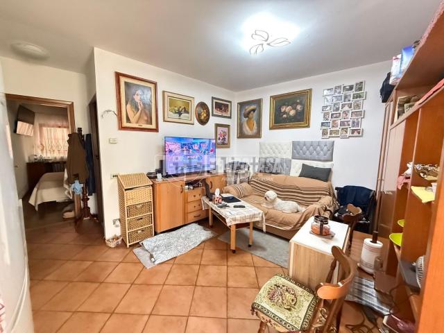 Appartamento in vendita a Borgo Piave, Zoldo Alto