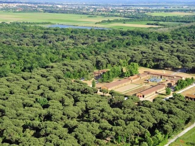 Appartamento in vendita a Barbaricina, Pisa