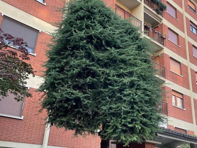 Appartamento in vendita a Villaggio Dora, Collegno