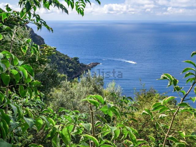 Appartamento in vendita a Camogli, Liguria