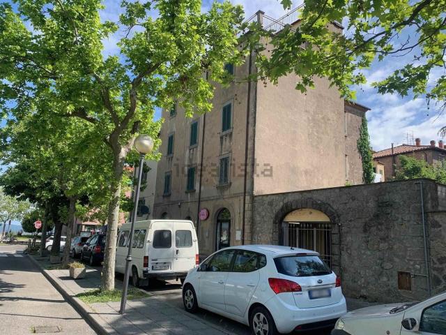 Appartamento in vendita a Unione dei Comuni Montani Amiata Grossetana, Castel Del Piano