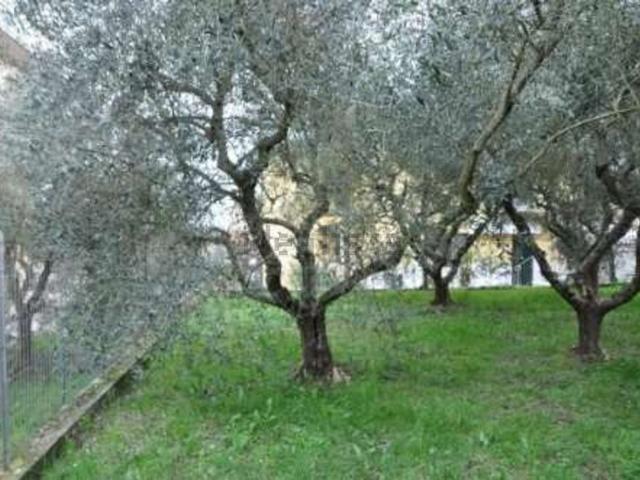 Appartamento in vendita a Pieve, Sinalunga