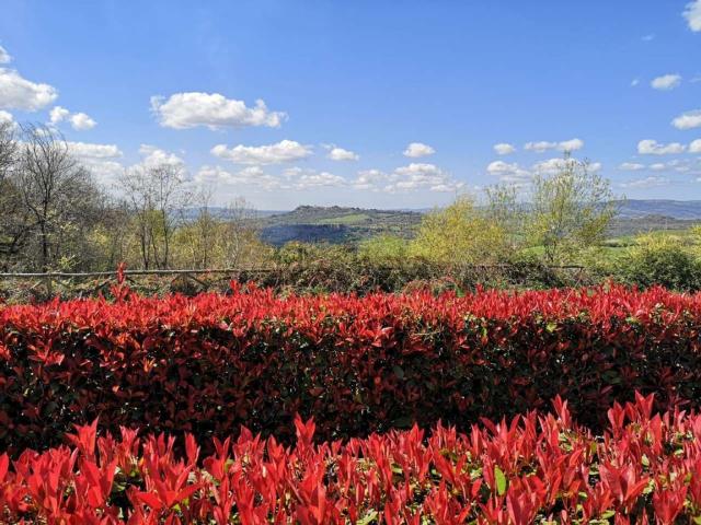 Appartamento in vendita a Unione di Comuni Montani Colline del Fiora, Manciano