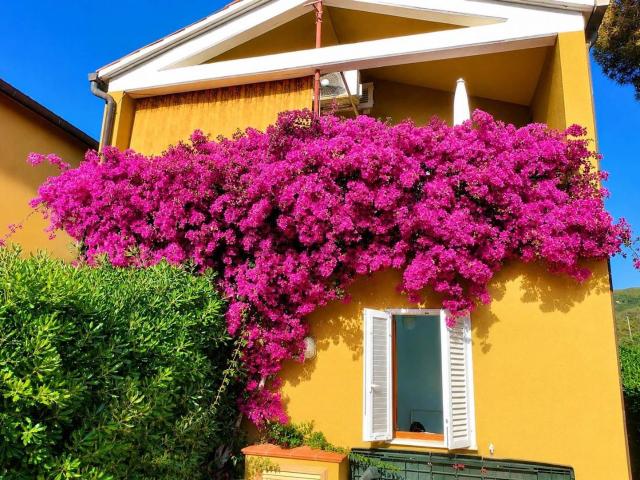 Appartamento in vendita a Portoferraio, Toscana