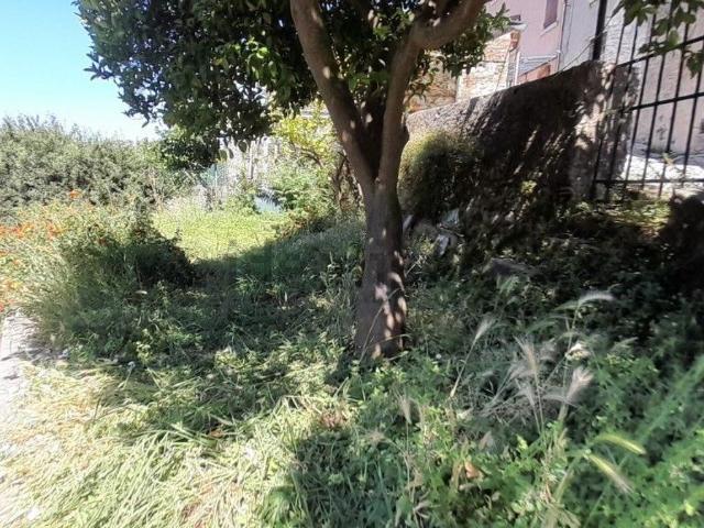 Appartamento in vendita a Castello, Tonfano