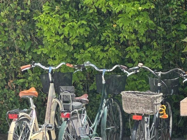 Appartamento in vendita a Montignoso, Toscana