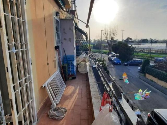 Appartamento in vendita a Torre Flavia, Roma Capitale