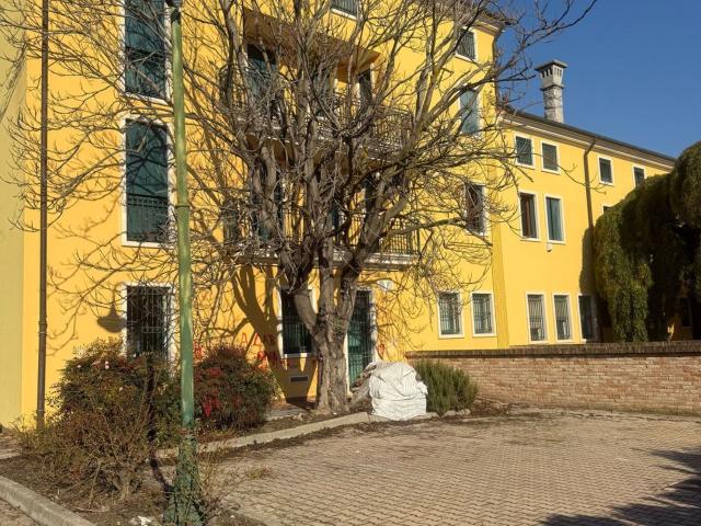 Appartamento in vendita a Carrara San Giorgio, Veneto