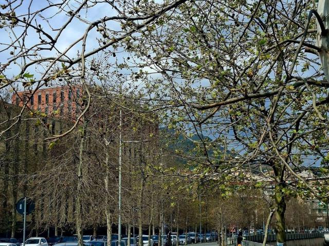 Appartamento in vendita a Salerno, Campania