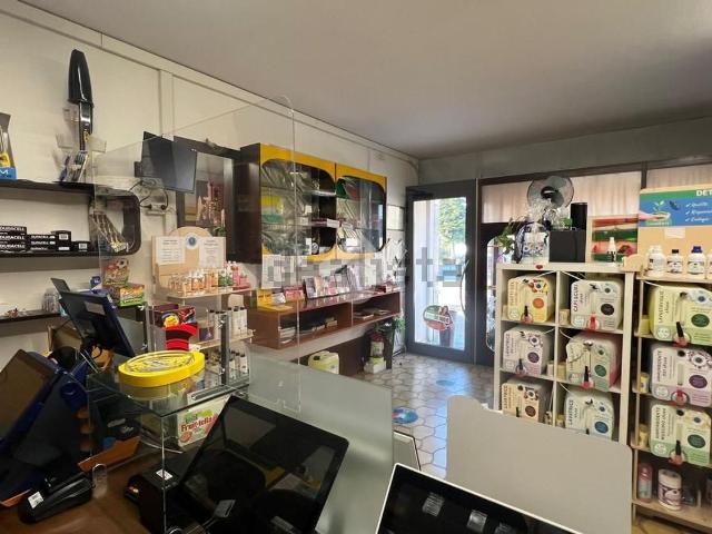 Appartamento in vendita a Orsago, Veneto