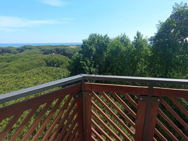 Appartamento in vendita a Jesolo Pineta, Jesolo