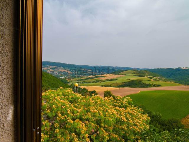 Appartamento in vendita a Marche, Ancona