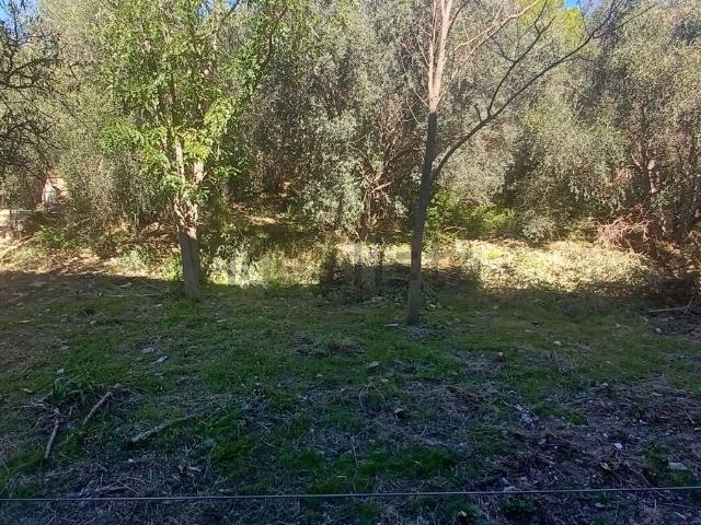 Appartamento in vendita a Monte Argentario, Porto Ercole