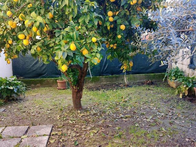 Appartamento in vendita a Campo Boario, Latina