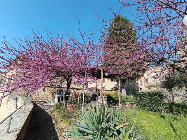 Appartamento in vendita a Centro storico di San Gimignano, San Gimignano