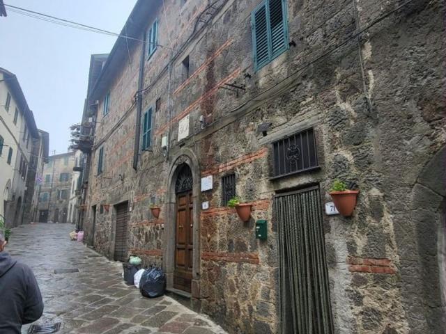 Appartamento in vendita a Piancastagnaio, Siena