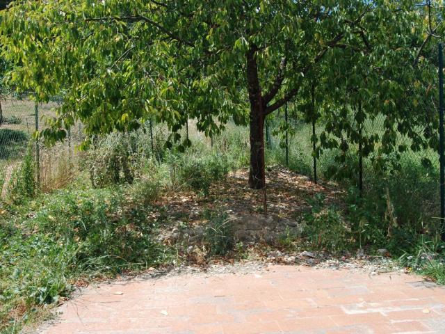 Appartamento in vendita a San Polo In Chianti, Toscana