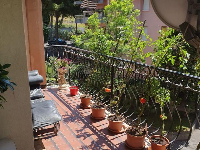Appartamento in vendita a Bordighera, Liguria