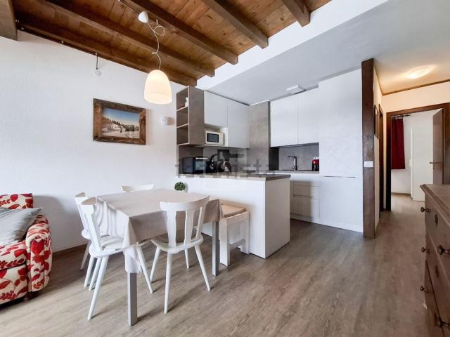 Appartamento in vendita a Comunità Alto Garda e Ledro, Molina Di Ledro