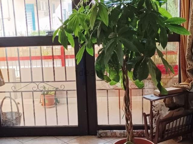 Appartamento in vendita a Villaciambra, Monreale