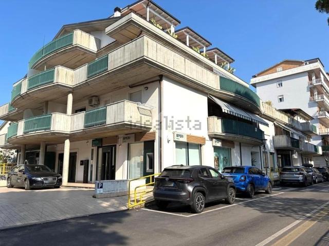 Appartamento in vendita a Quartiere dei fiori, Pineto