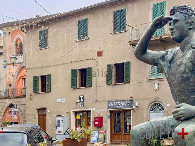 Appartamento in vendita a Unione dei Comuni Montani Amiata Grossetana, Castell'azzara