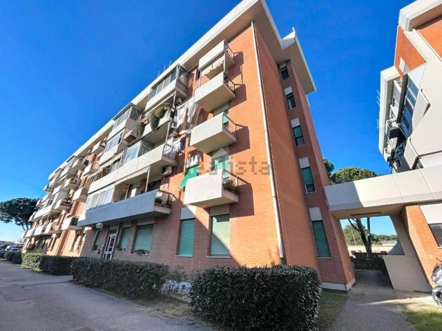 Appartamento in vendita a Collesalvetti, Toscana