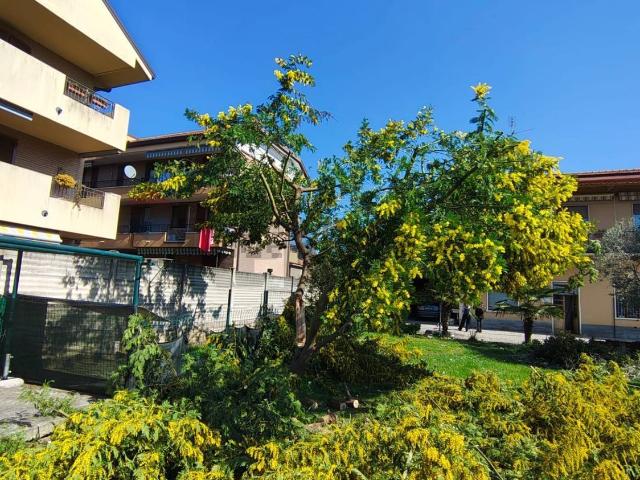 Appartamento in vendita a San Giorgio, Desio