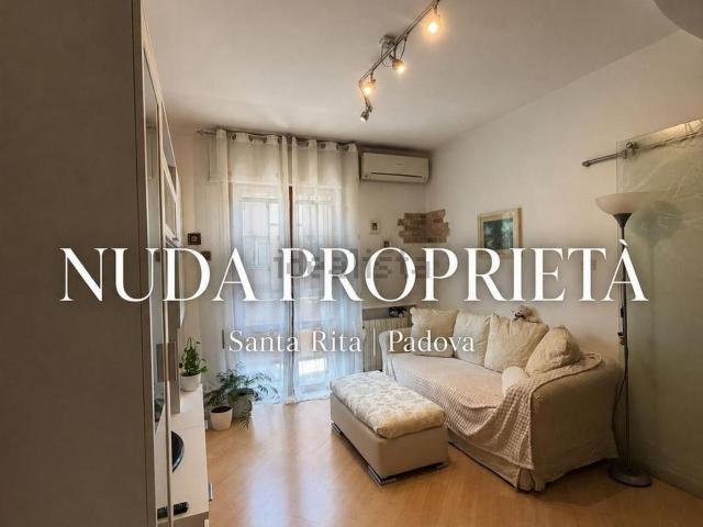 Appartamento in vendita a Madonna Pellegrina, Padova