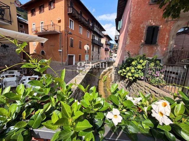 Appartamento in vendita a Comunità Alto Garda e Ledro, Molina Di Ledro