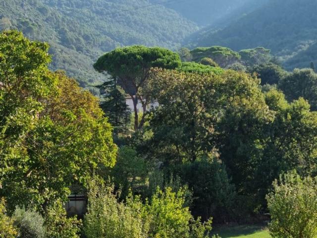 Appartamento in vendita a Asciano, San Giuliano Terme
