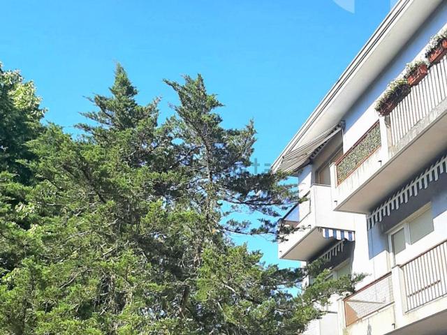 Appartamento in vendita a Piazzutta / Placuta, Gorizia