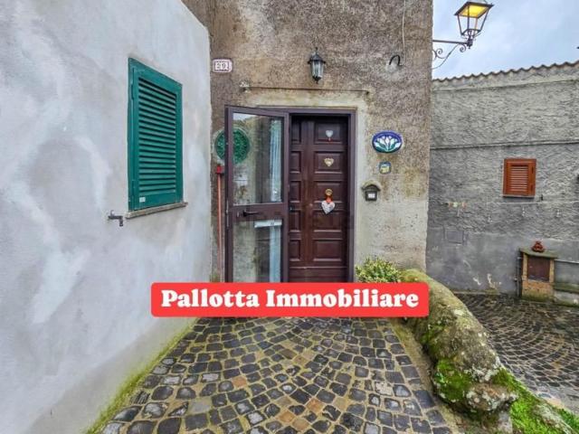 Appartamento in vendita a Capodimonte, Lazio