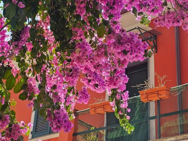 Appartamento in vendita a Lavagna, Liguria